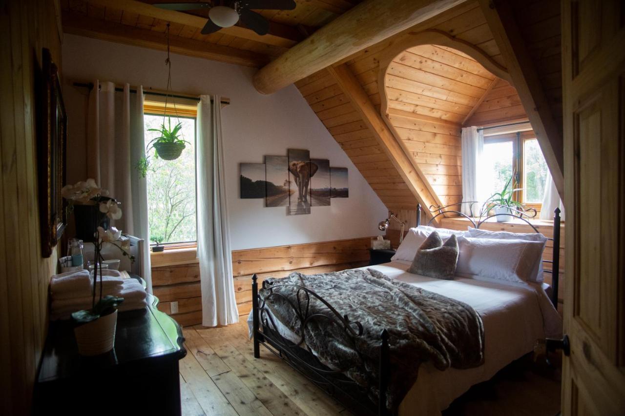 Sainte-Marie Hebergement "La Maison En Bois Rond" المظهر الخارجي الصورة