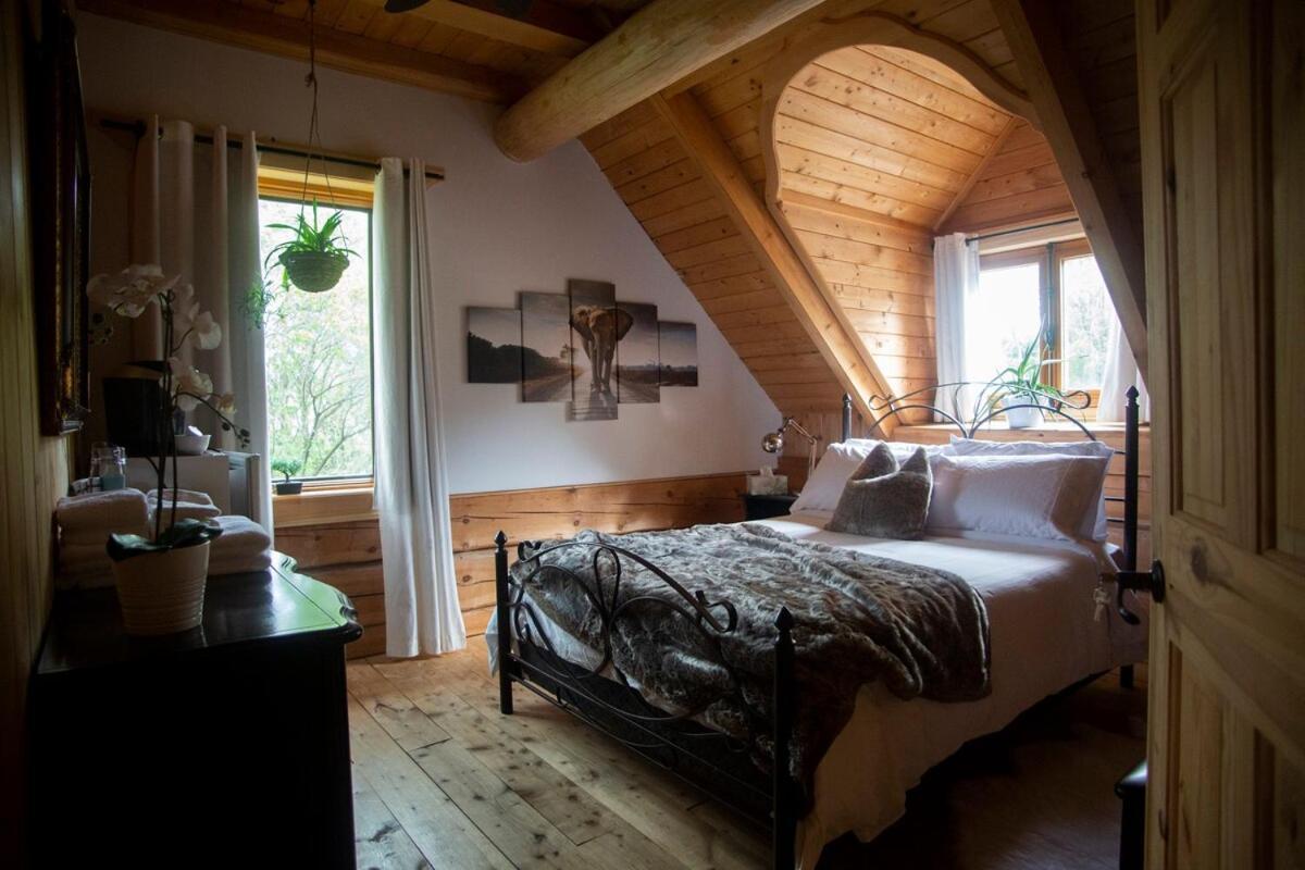 Sainte-Marie Hebergement "La Maison En Bois Rond" الغرفة الصورة